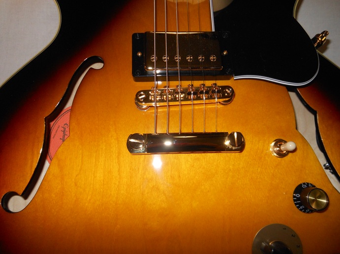 ES-345 Triburst Picture 14